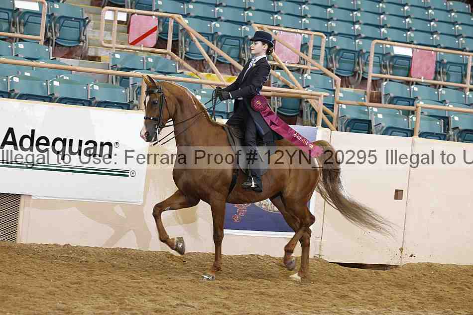Proof 12yn_20295