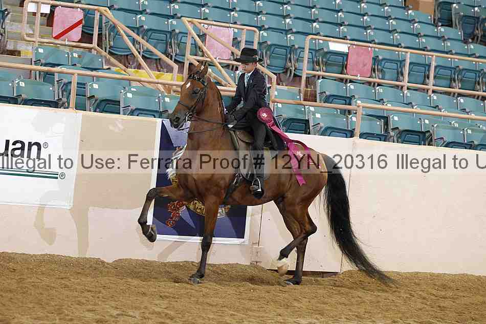 Proof 12yn_20316
