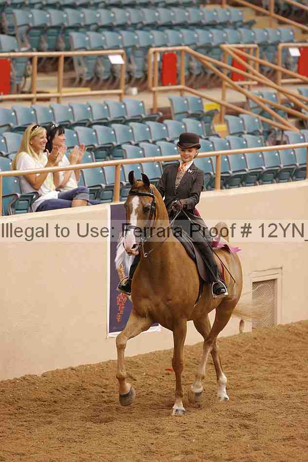 Proof 12yn_20319