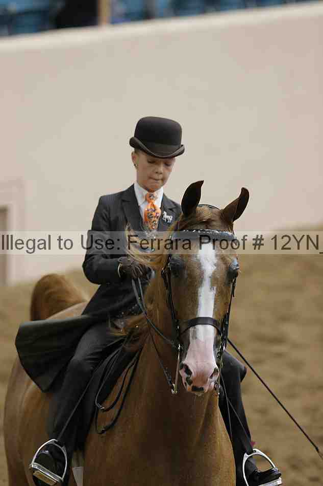 Proof 12yn_20321