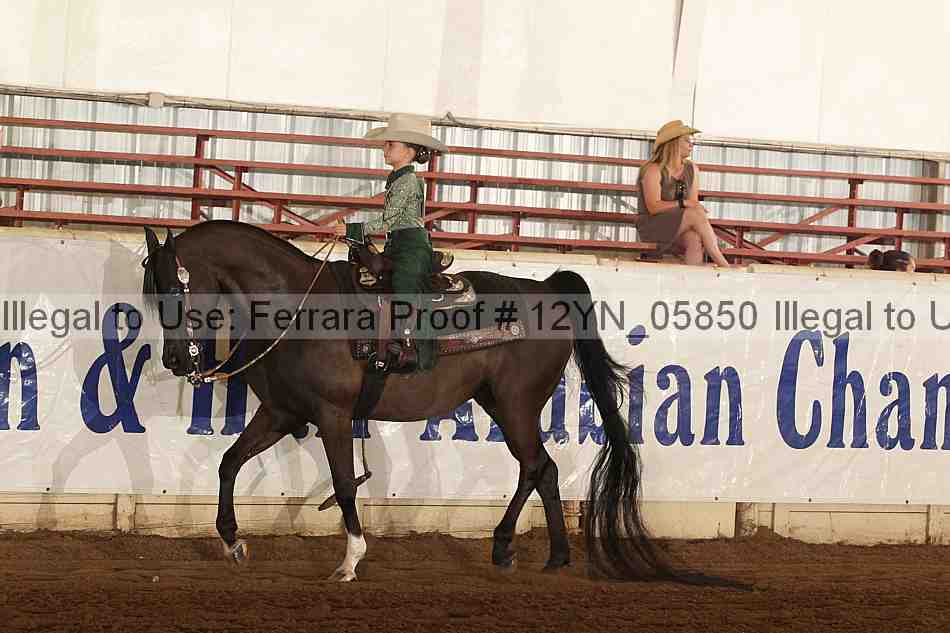 Proof 12yn_05850