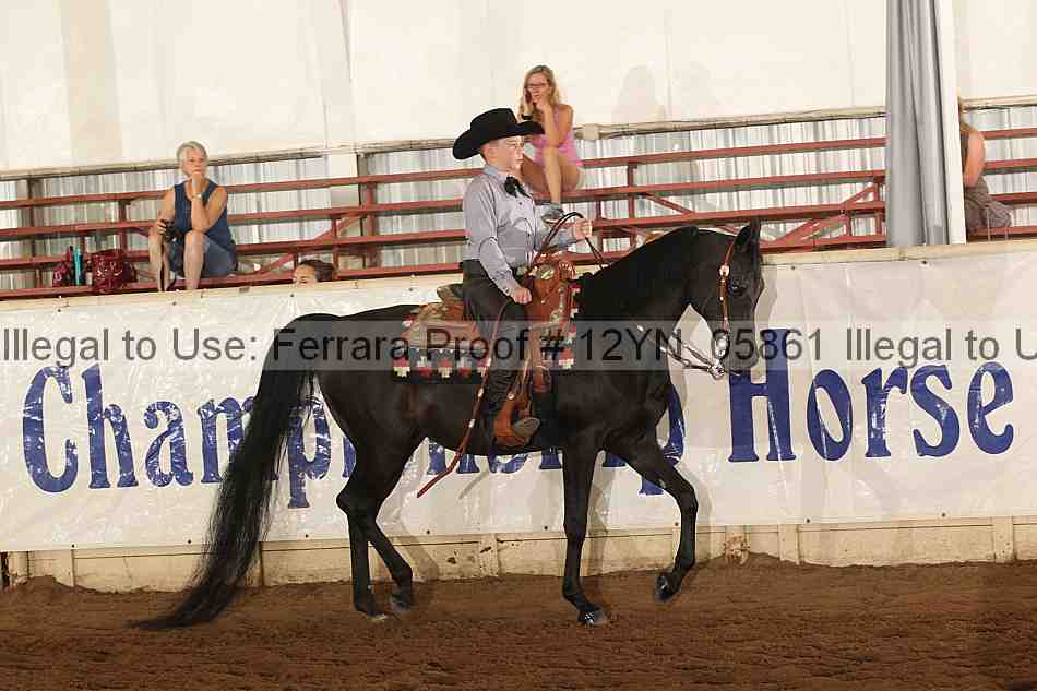 Proof 12yn_05861