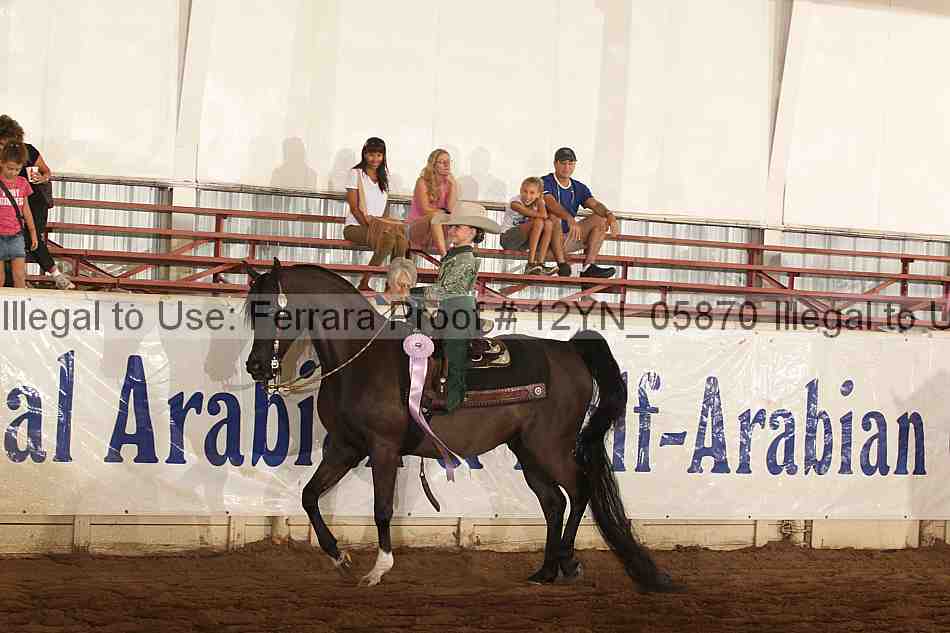 Proof 12yn_05870