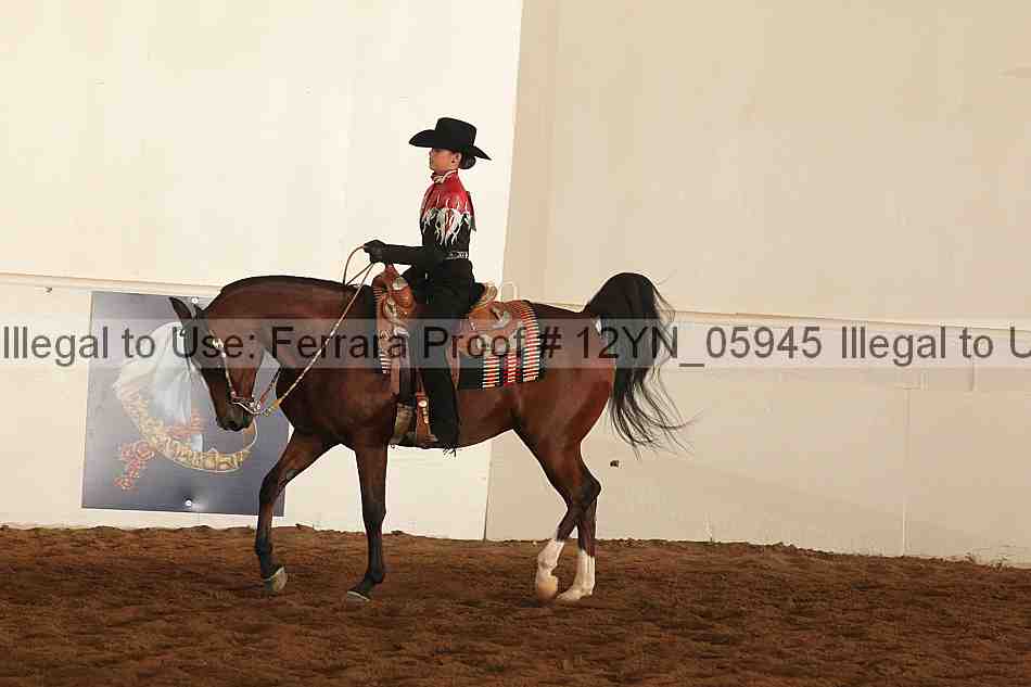 Proof 12yn_05945