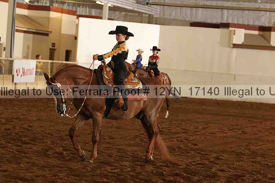 Proof 12yn_17140