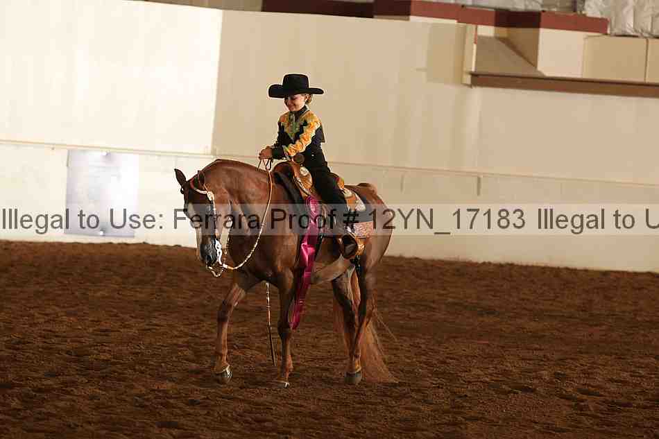 Proof 12yn_17183