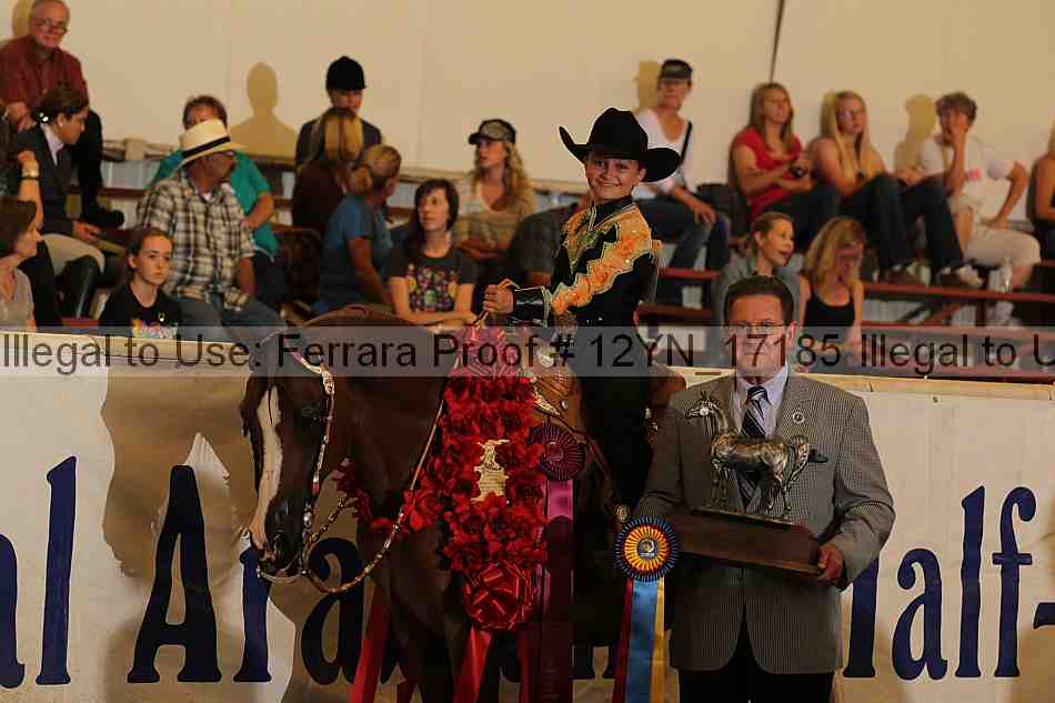 Proof 12yn_17185
