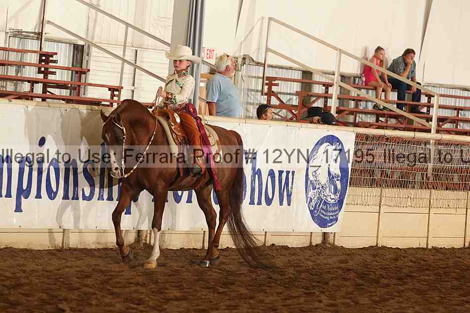 Proof 12yn_17195
