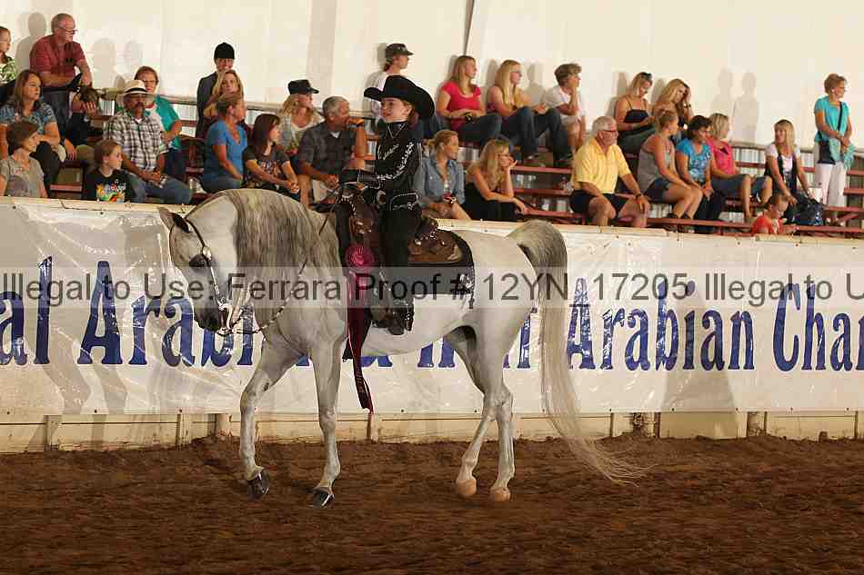 Proof 12yn_17205