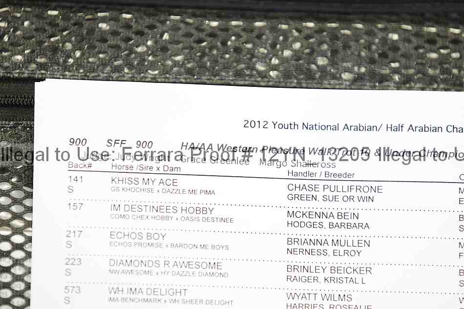 Proof 12yn_13205