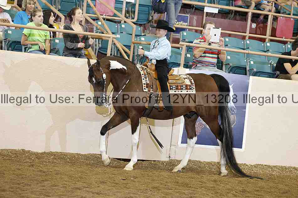 Proof 12yn_13208