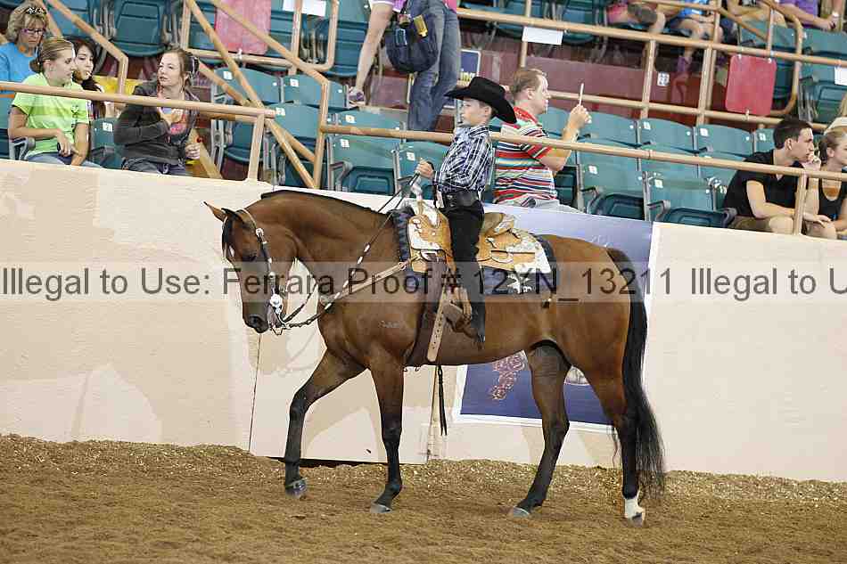 Proof 12yn_13211