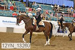 12yn_13260 proof