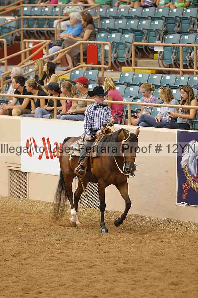 Proof 12yn_13274