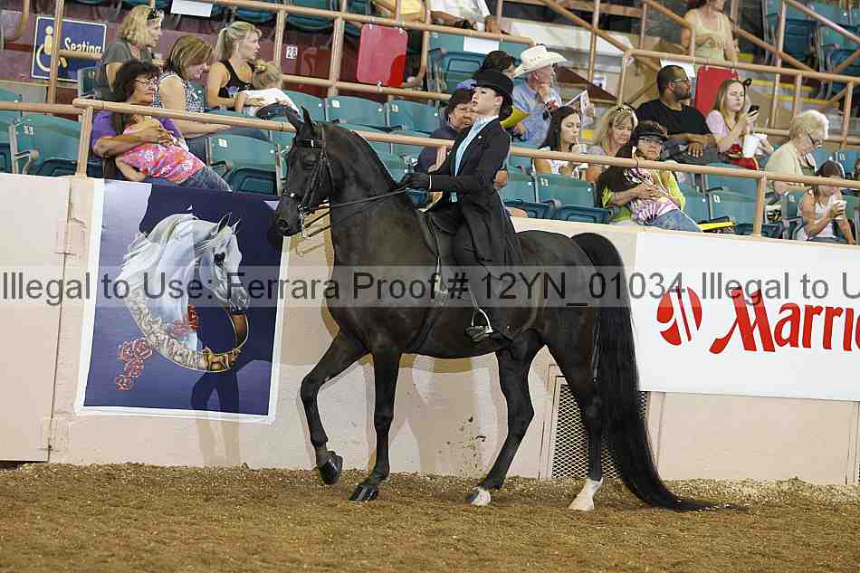 Proof 12yn_01034