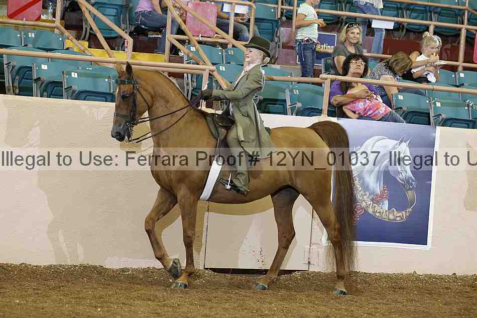 Proof 12yn_01037