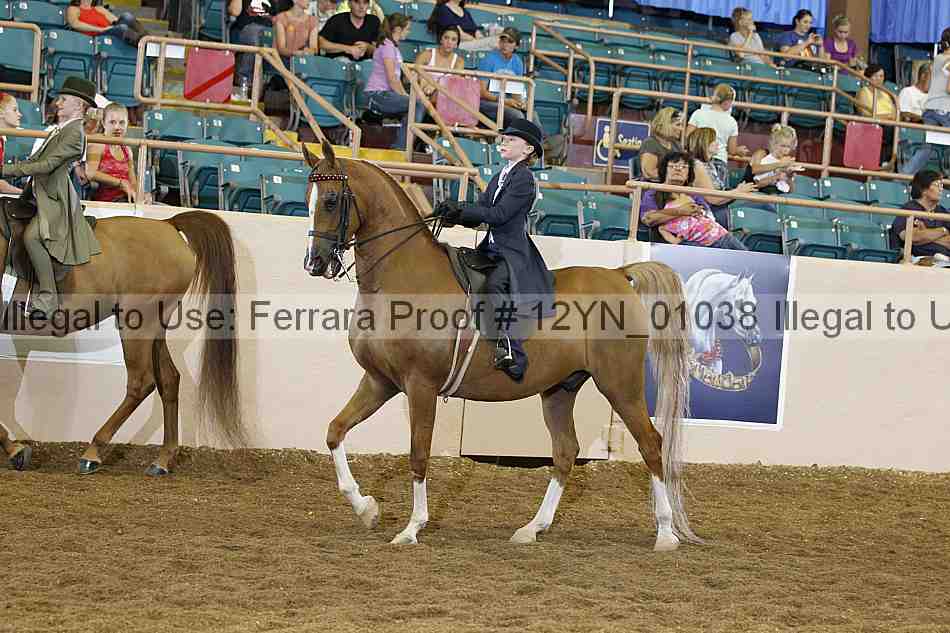 Proof 12yn_01038