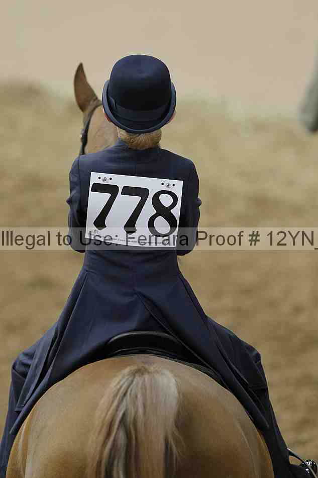 Proof 12yn_01039