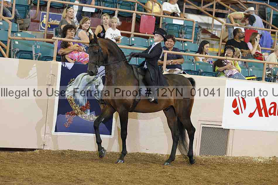 Proof 12yn_01041