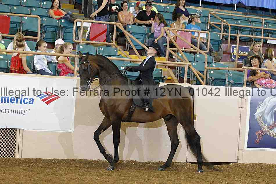 Proof 12yn_01042