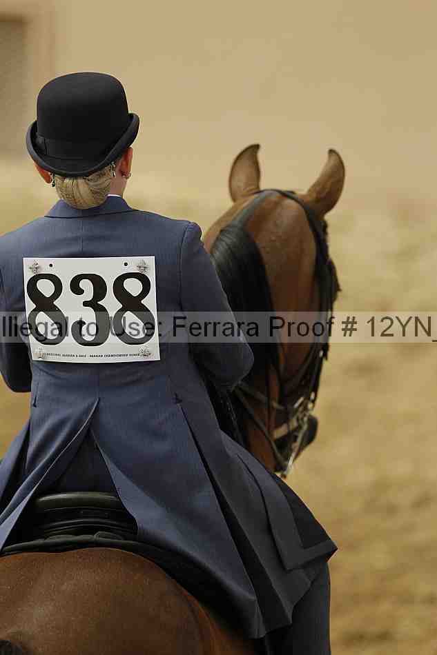 Proof 12yn_01044