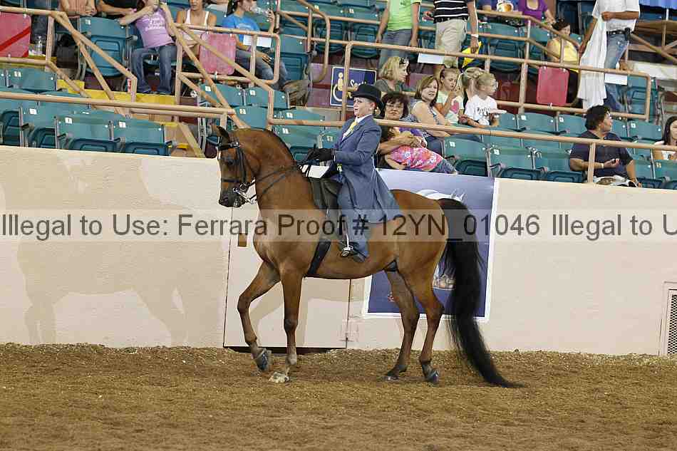 Proof 12yn_01046