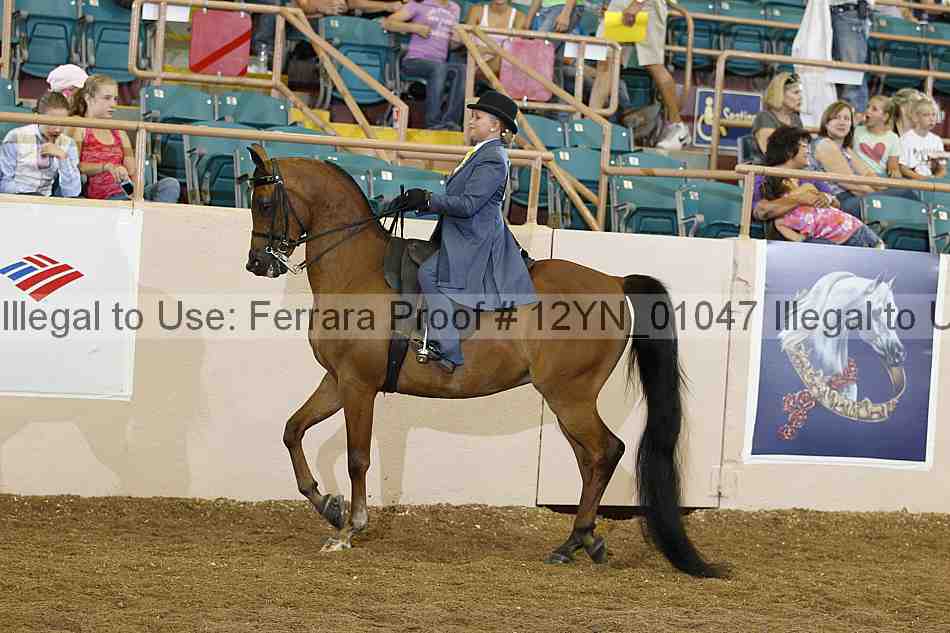 Proof 12yn_01047