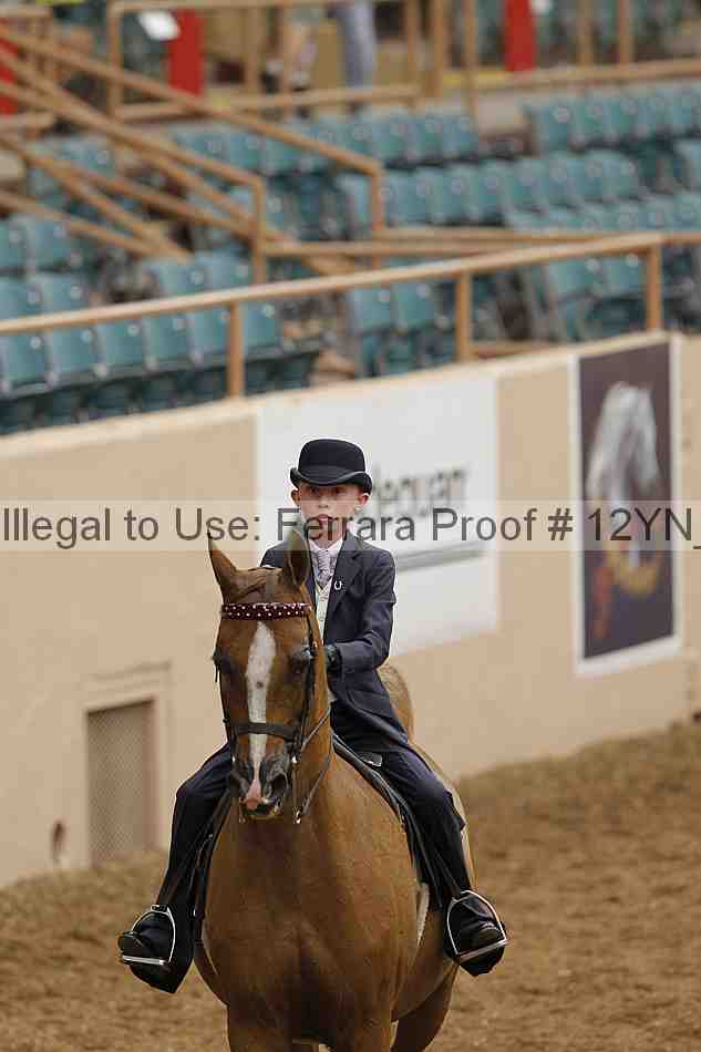 Proof 12yn_01048