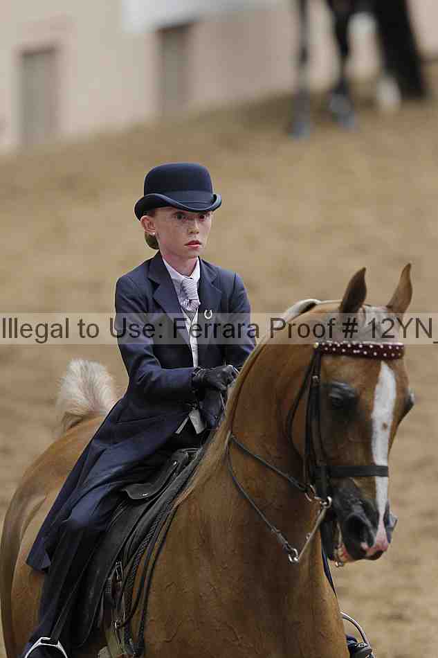 Proof 12yn_01049