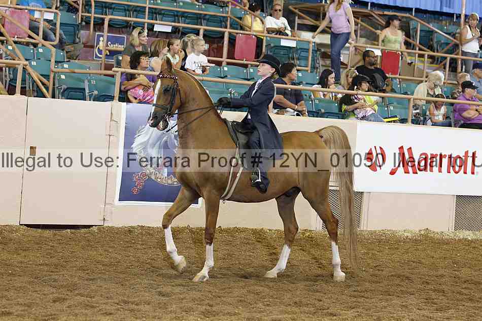 Proof 12yn_01050