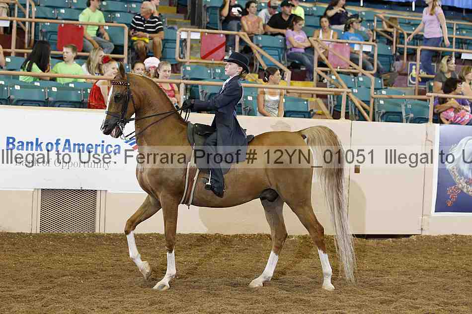 Proof 12yn_01051