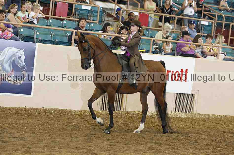 Proof 12yn_01053