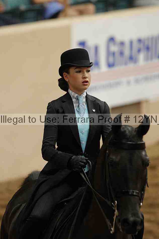 Proof 12yn_01054