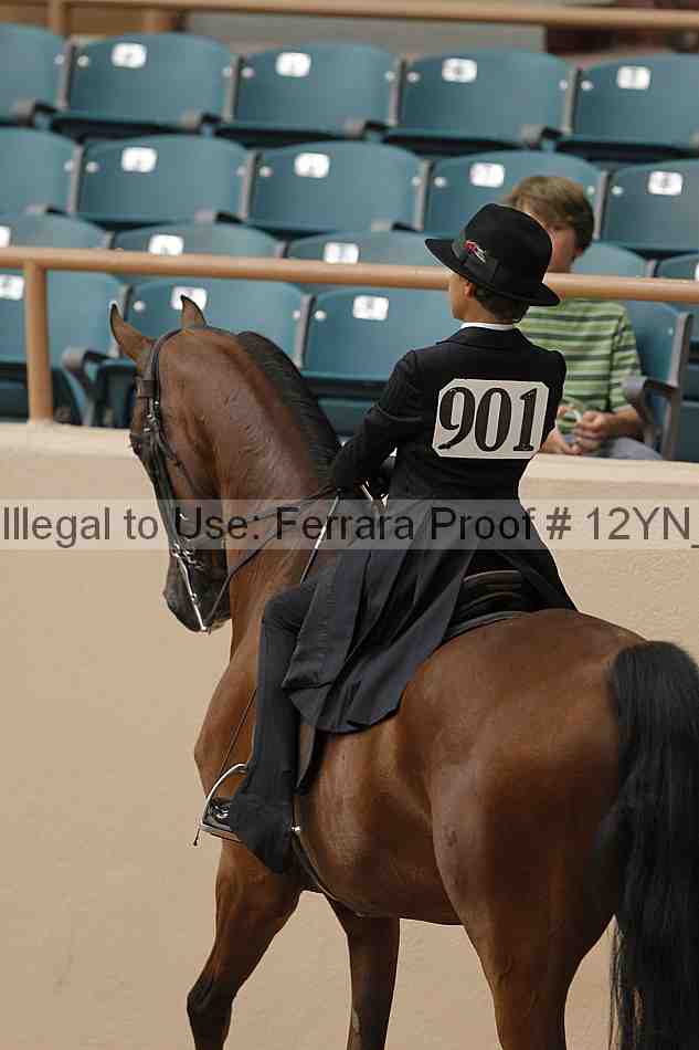 Proof 12yn_01056