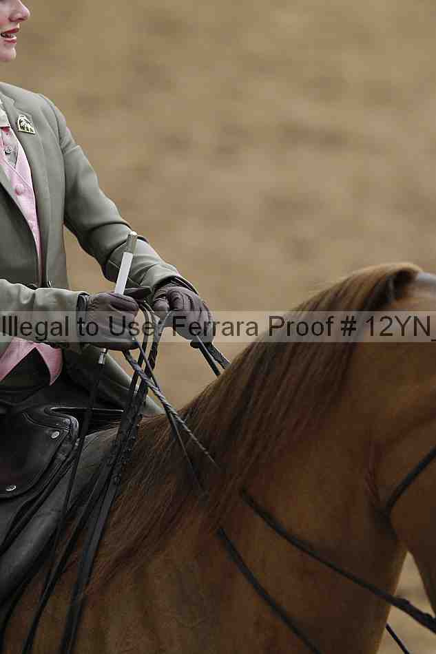 Proof 12yn_01058