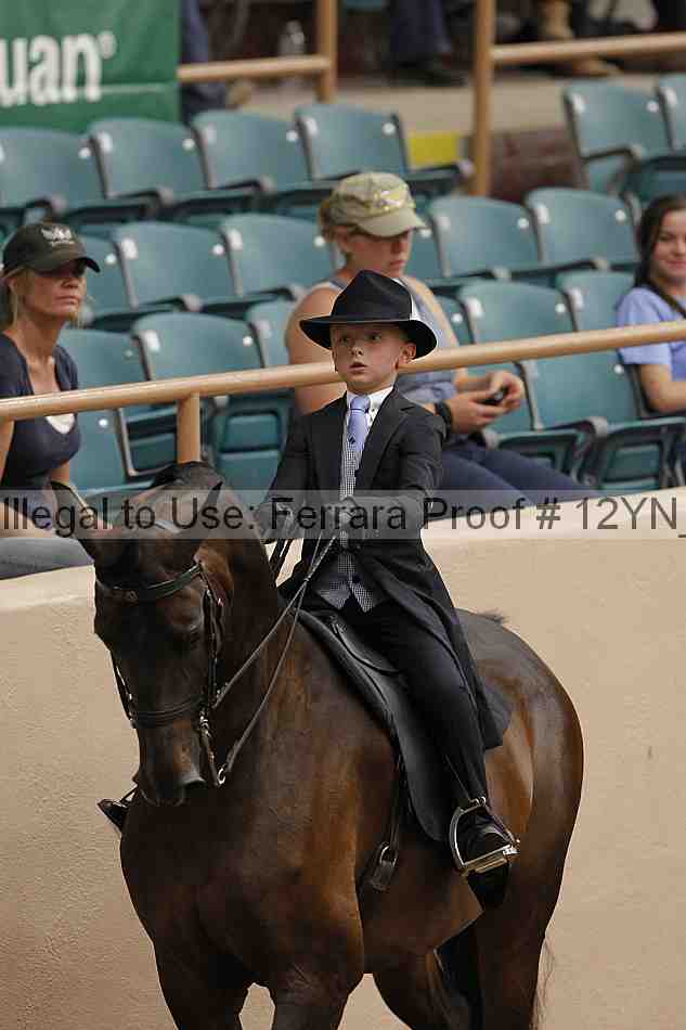 Proof 12yn_01059