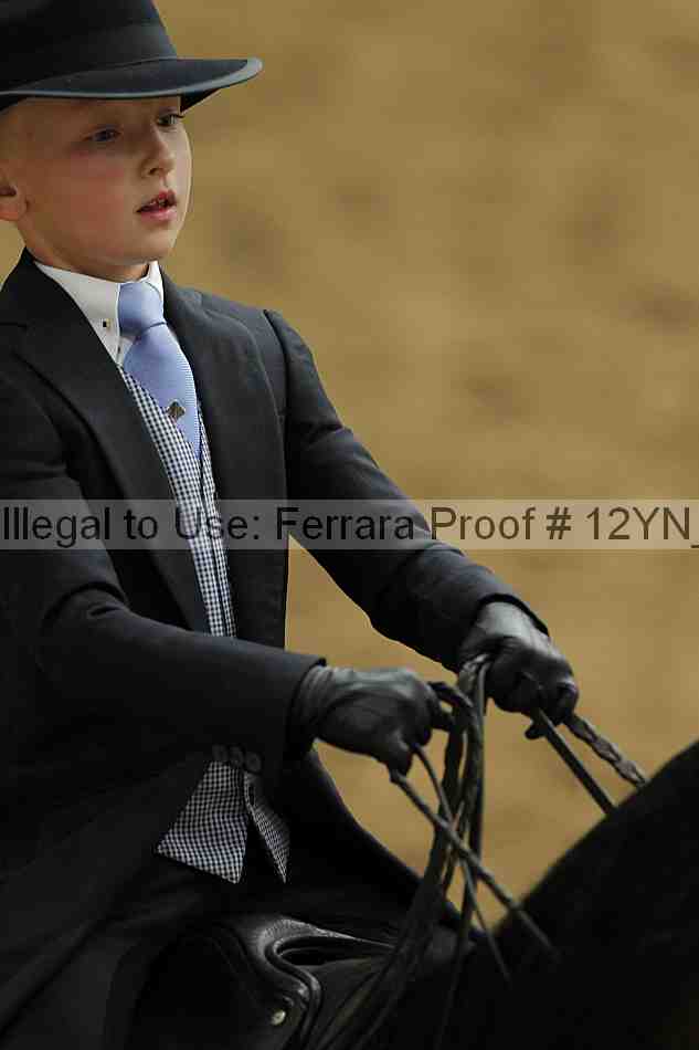 Proof 12yn_01060