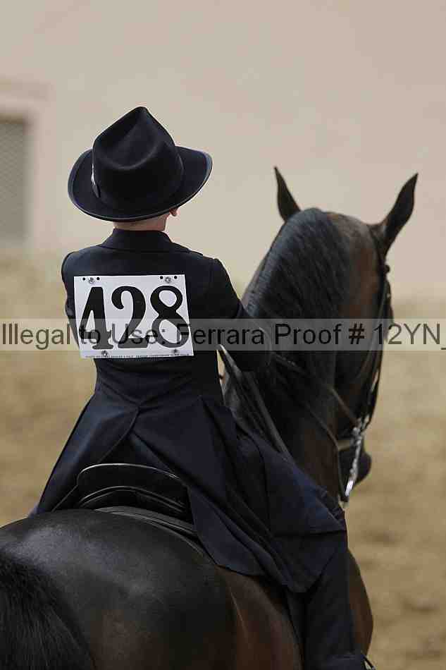 Proof 12yn_01061