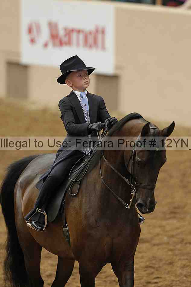Proof 12yn_01062