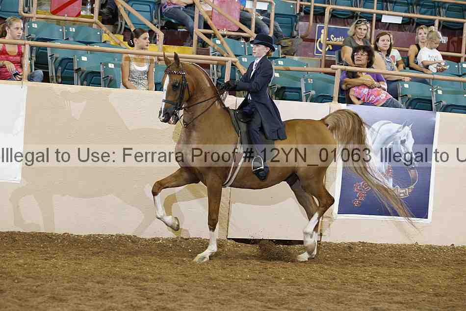 Proof 12yn_01063