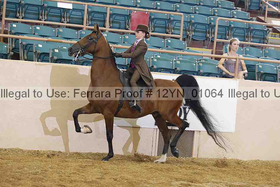 Proof 12yn_01064