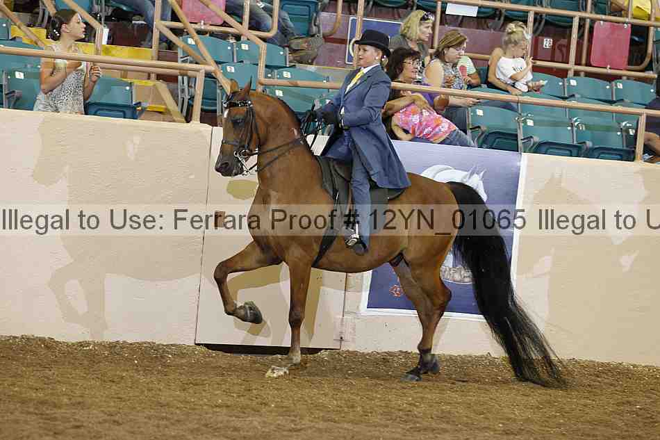 Proof 12yn_01065
