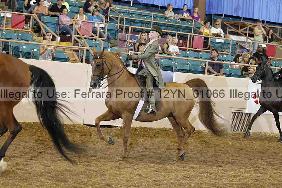 Proof 12yn_01066