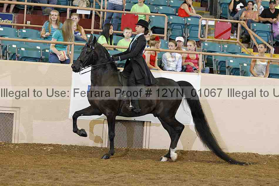 Proof 12yn_01067