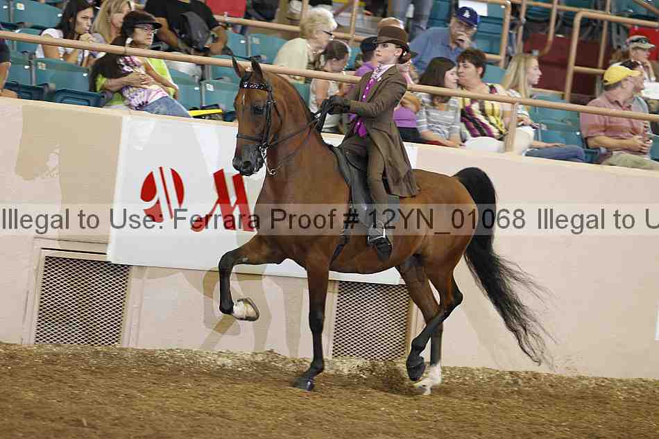 Proof 12yn_01068