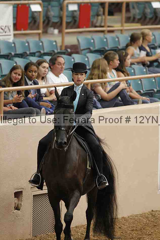 Proof 12yn_01069