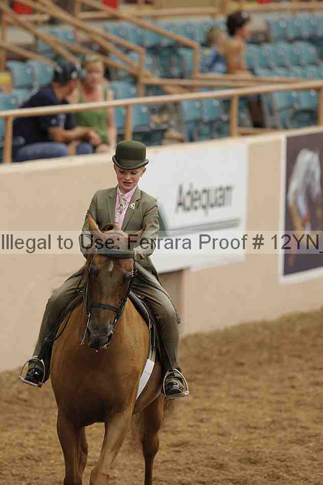 Proof 12yn_01070