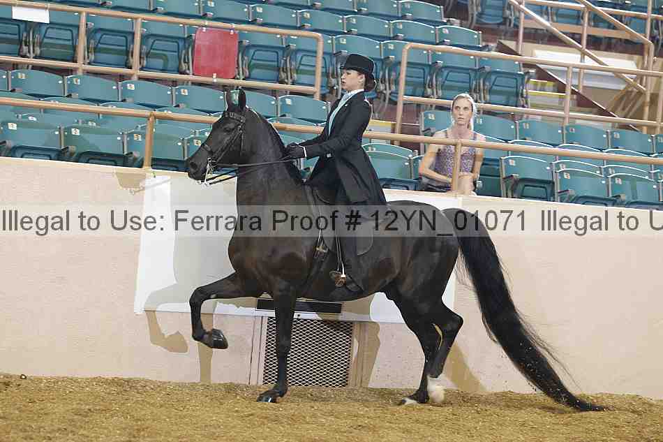 Proof 12yn_01071