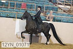12yn_01071 proof
