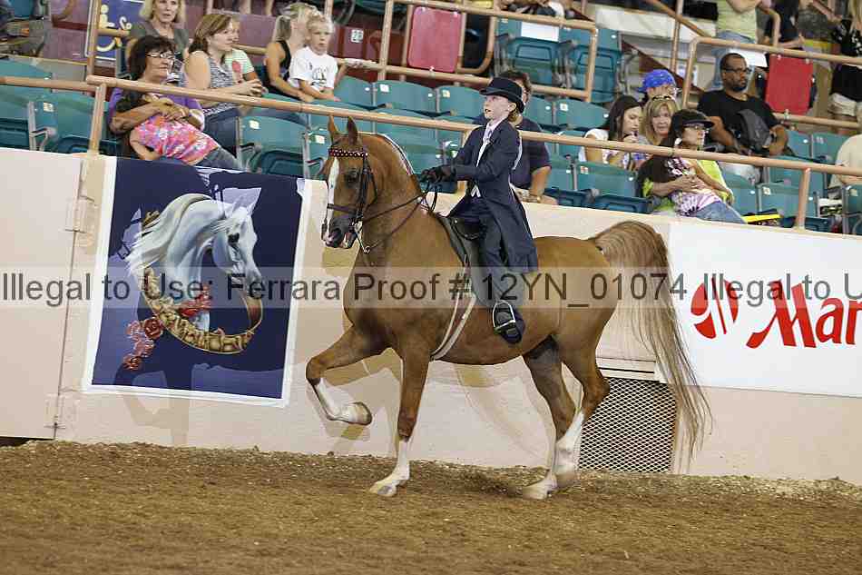 Proof 12yn_01074